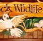 Wave Rock Hotel Motel - Accommodation NSW