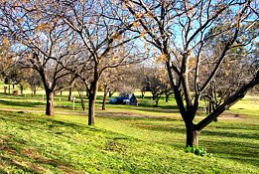 Wellington Caves Caravan Park - Accommodation NSW 0