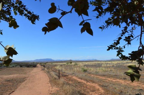 Windana Cottages - Accommodation NSW 5