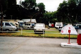 Windsor Gardens Caravan Park - Accommodation NSW 0