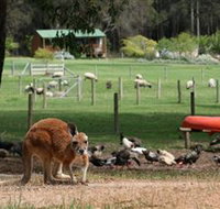 Diamond Forest Cottages and Farm Stay - Accommodation NSW