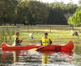 Diamond Forest Cottages And Farm Stay - Accommodation NSW 2