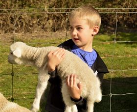 Diamond Forest Cottages And Farm Stay - Accommodation NSW 1