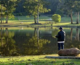 Diamond Forest Cottages And Farm Stay - Accommodation NSW 3