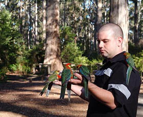 Gloucester Motel - Accommodation NSW 3