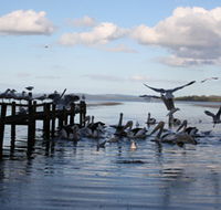 Pelicans At Denmark - Holiday Home - Accommodation NSW