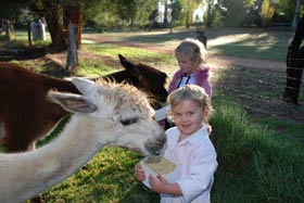 Treenbrook Cottages - Accommodation NSW 3