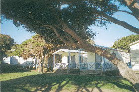 Yallingup Beach Holiday Park - Accommodation NSW 1
