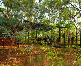 Arnhemland Barramundi Nature Lodge - Accommodation NSW 0