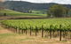 Acacia Park Farm House - thumb 7