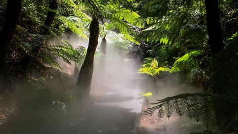 Australian National Botanic Gardens - Accommodation NSW 4