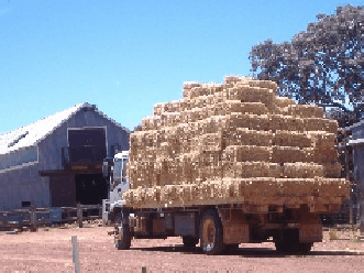 Avondale Discovery Farm - Accommodation NSW 1