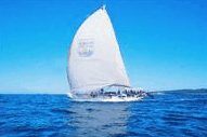 Manly Harbour Village - Accommodation NSW