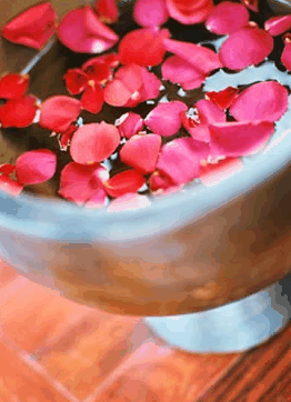 Ripple Brisbane Massage Day Spa And Beauty - Accommodation NSW 2