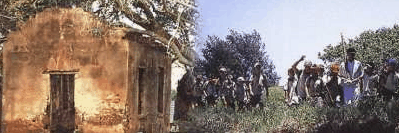 St Helena Island - Accommodation NSW 1