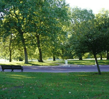 Roma Street Parkland - Accommodation NSW 0