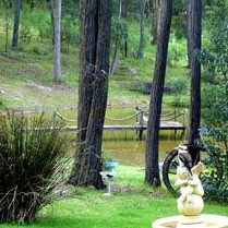 Gain Life Healing Health Retreat - Accommodation NSW 2