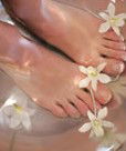 Orchid Day Spa - Accommodation NSW 0