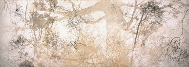 Dianne Tanzer Gallery & Projects - Accommodation NSW 3