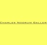 Charles Nodrum Gallery - Accommodation NSW 0