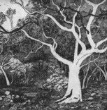 Tacit Contemporary Art - Accommodation NSW 0