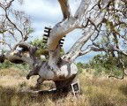 Colour Factory Gallery - Accommodation NSW 3