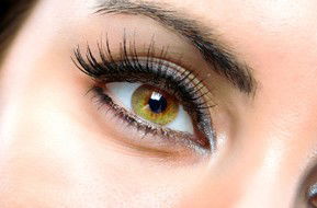 Beauty On Ryrie - Accommodation NSW 1