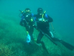 Pelican Charters - Accommodation NSW 1