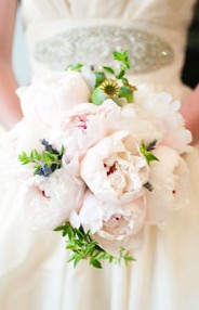 Karralyka Centre - Accommodation NSW 3