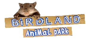 Birdland Animal Park - Accommodation NSW