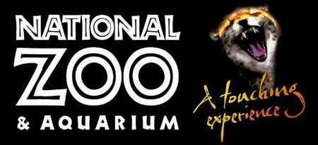 National Zoo & Aquarium - Accommodation NSW 0
