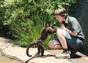 National Zoo & Aquarium - Accommodation NSW 1