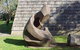 Tiagarra Aboriginal Culture Centre And Museum - thumb 1