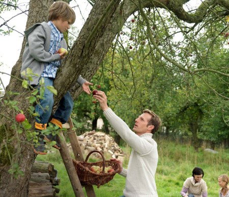 Eastland Shopping Centre - Accommodation NSW 3