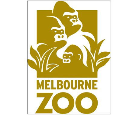 Melbourne Zoo - Accommodation NSW 0
