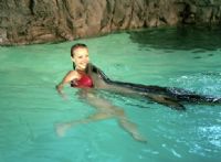 Underwater World - Accommodation NSW 2