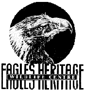 Eagles Heritage - Accommodation NSW