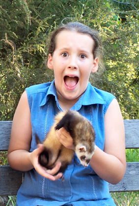 Peel Zoo - Accommodation NSW 1