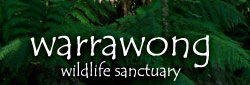 Warrawong Wildlife Park - Accommodation NSW 0