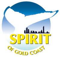 Spirit of Gold Coast Whale Watching - Accommodation NSW