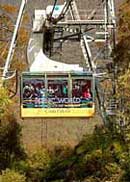 Scenic World Blue Mountains - Accommodation NSW 1