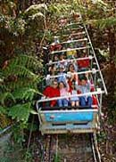 Scenic World Blue Mountains - Accommodation NSW 2