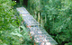 Scenic World Blue Mountains - thumb 3