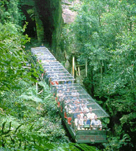 Scenic World Blue Mountains - Accommodation NSW 3