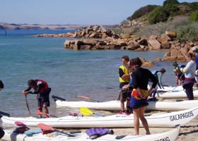 Sea Kayak Melbourne And Victoria - Accommodation NSW 2