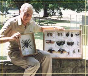 Butterfly Farm - Accommodation NSW 1