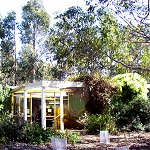 Koala Conservation Centre - Accommodation NSW 1