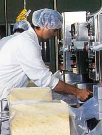 Allansford Cheese World - Accommodation NSW 1