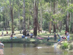 Buxton Trout And Salmon Farm - Accommodation NSW 3