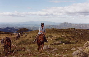 High Country Horses - Accommodation NSW 0